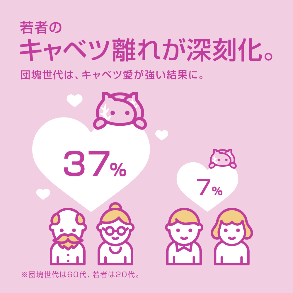 若者のキャベツ離れが深刻化。団塊世代は、キャベツ愛が強い結果に。 ※団塊世代は60代、若者は20代。